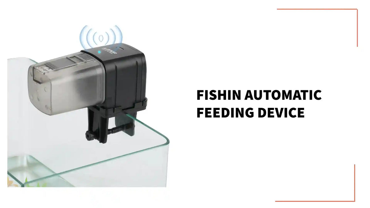 Fishin Automatic Feeding Device by@Outfy