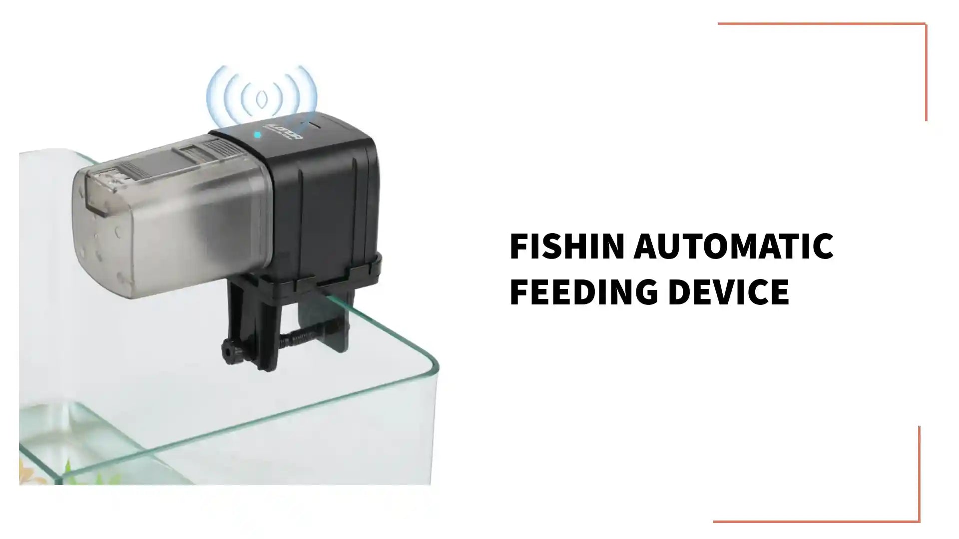 Fishin Automatic Feeding Device by@Outfy